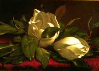 Martin Johnson Heade Magnolia hgh Spain oil painting art